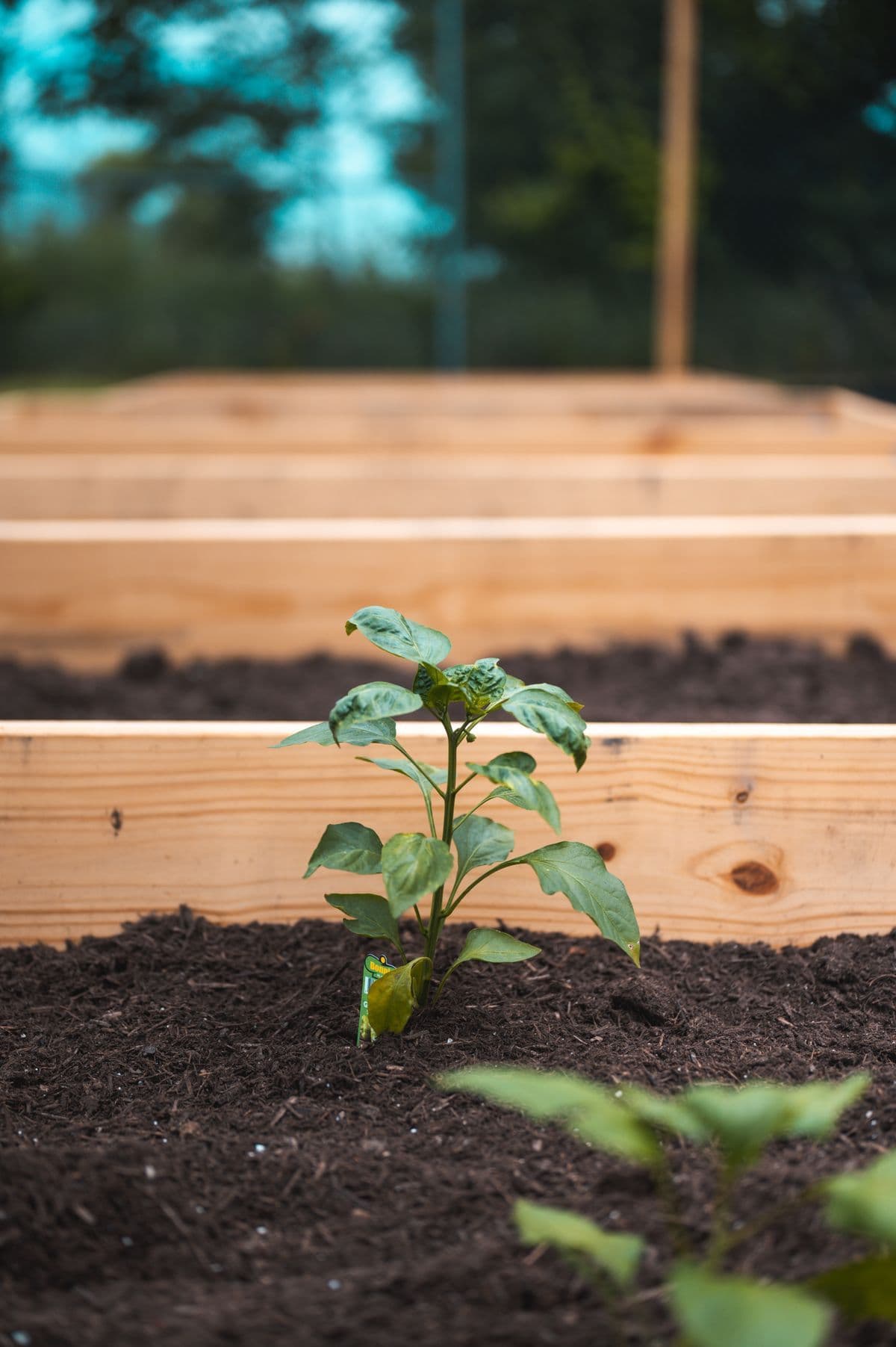 Raised Herb Planter